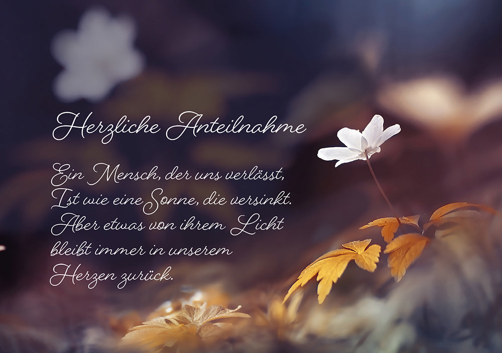 Frontcover zum Titel Herzliche Anteilnahme - Ein Mensch, der uns verlässt, ist wie eine Sonne