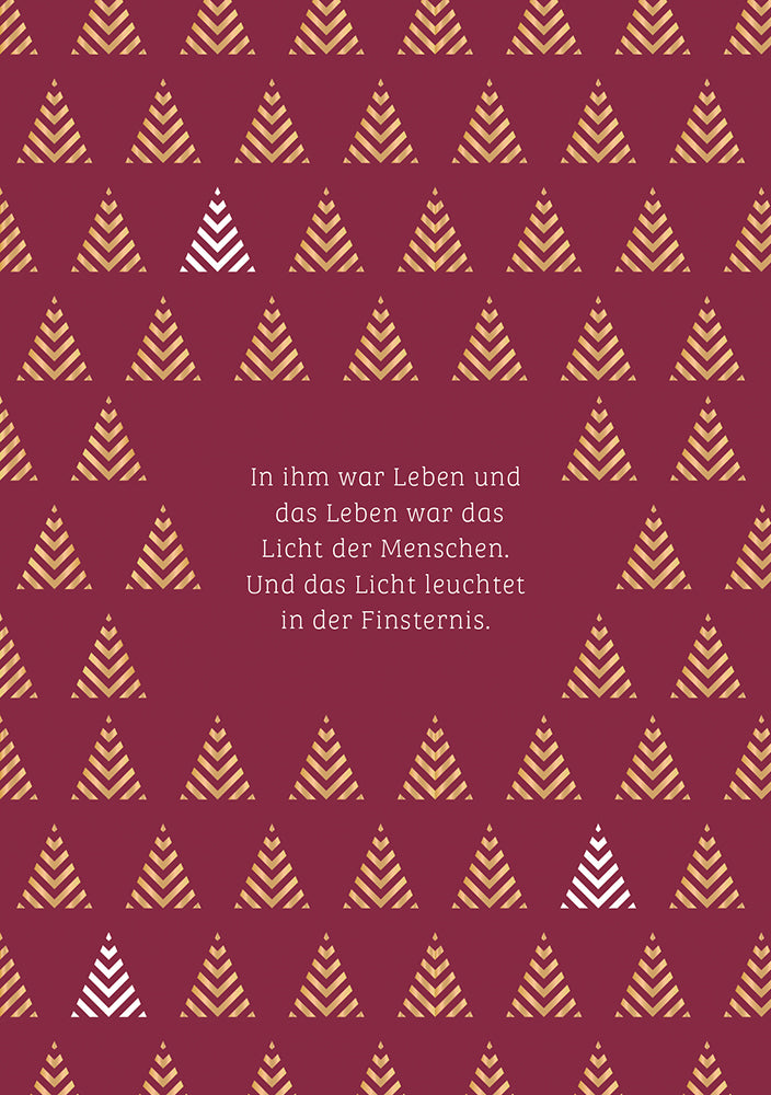 Frontcover zum Titel In ihm war Leben