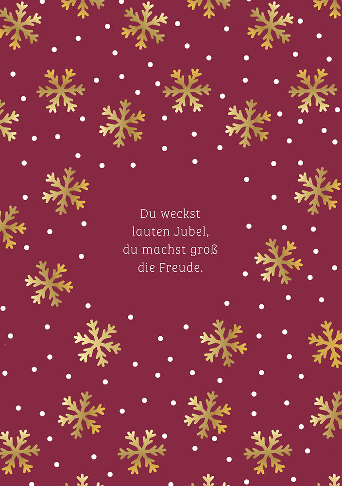 Frontcover zum Titel Du weckst lauten Jubel