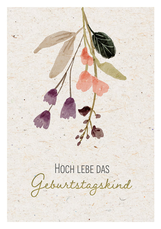 Frontcover zum Titel Hoch lebe das Geburtstagskind