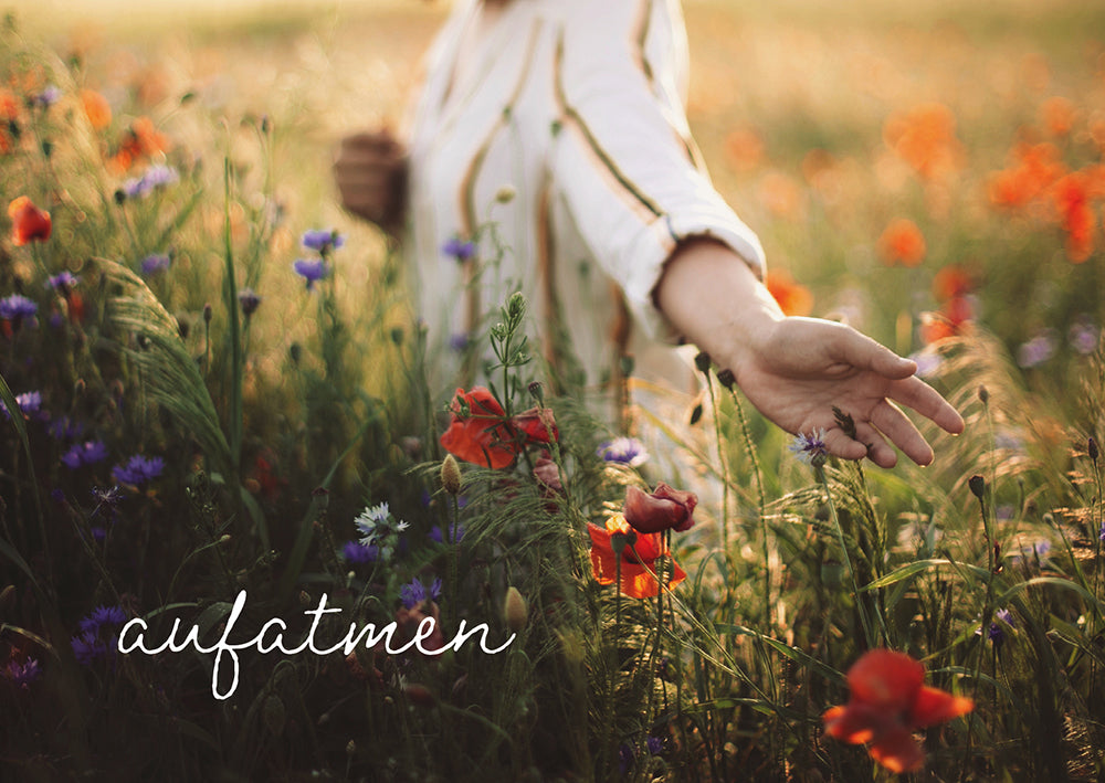Frontcover zum Titel aufatmen