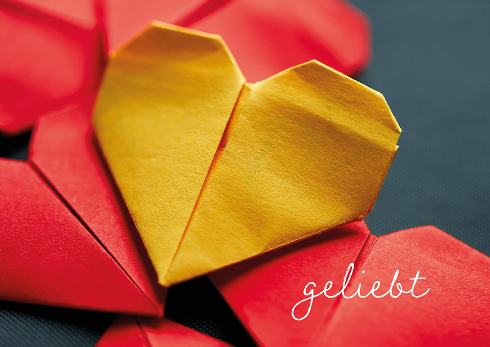 Frontcover zum Titel geliebt