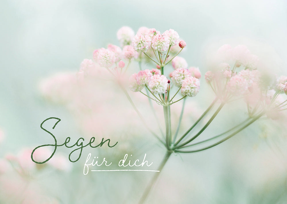 Frontcover zum Titel Segen für dich
