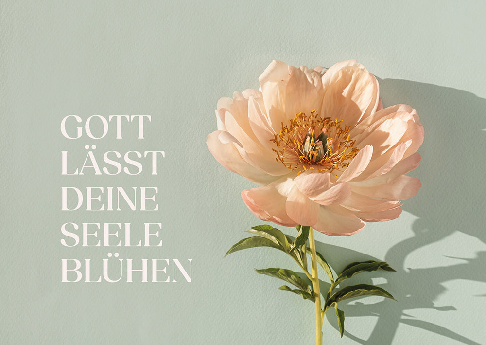 Frontcover zum Titel Gott lässt deine Seele blühen