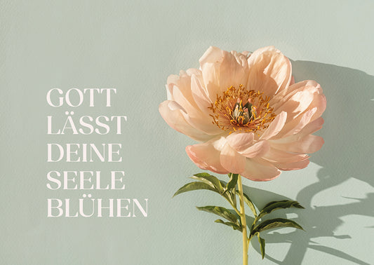 Frontcover zum Titel Gott lässt deine Seele blühen