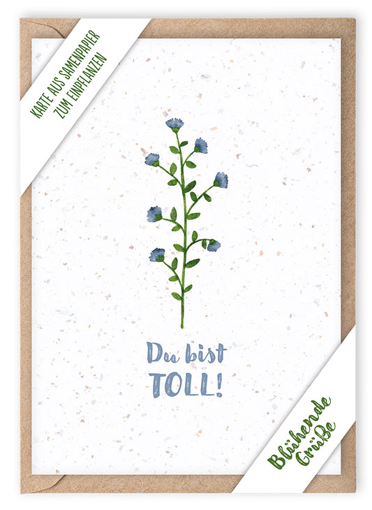 Frontcover zum Titel Du bist toll!