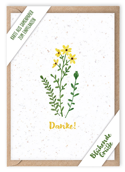 Frontcover zum Titel Danke!