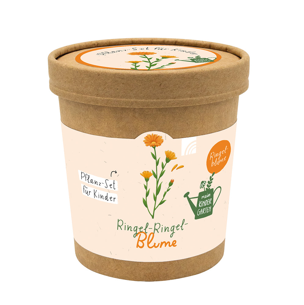Frontcover zum Titel Ringel-Ringel-Blume