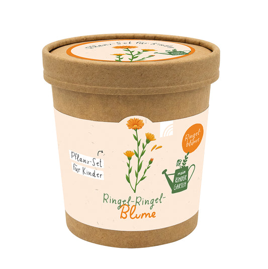 Frontcover zum Titel Ringel-Ringel-Blume