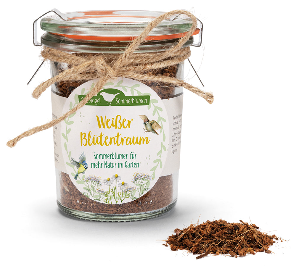 Produktbild zum Titel Weißer Blütentraum