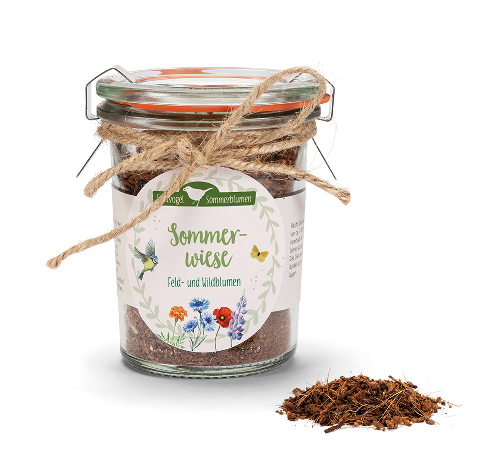 Weitere-Cover zum Titel Sommerwiese