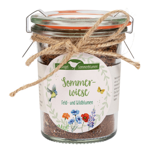 Frontcover zum Titel Sommerwiese