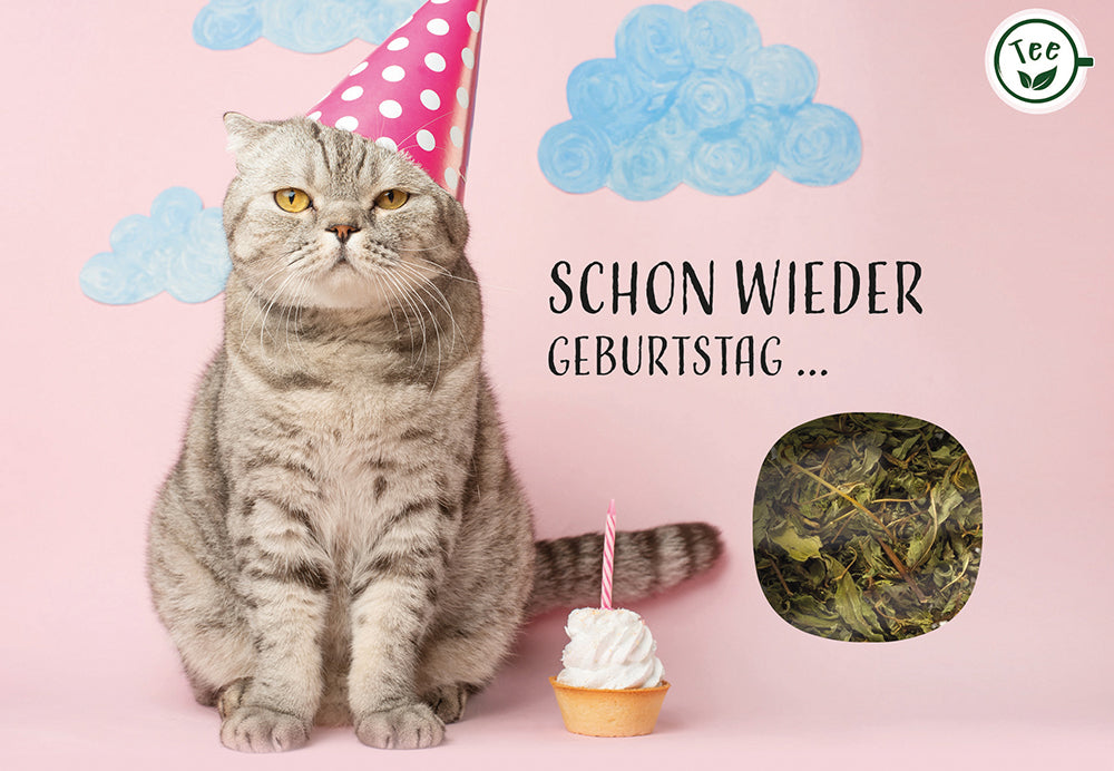 Frontcover zum Titel Schon wieder Geburtstag ...