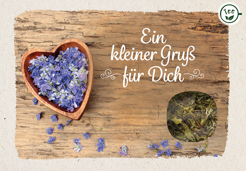 Frontcover zum Titel Ein kleiner Gruß für Dich