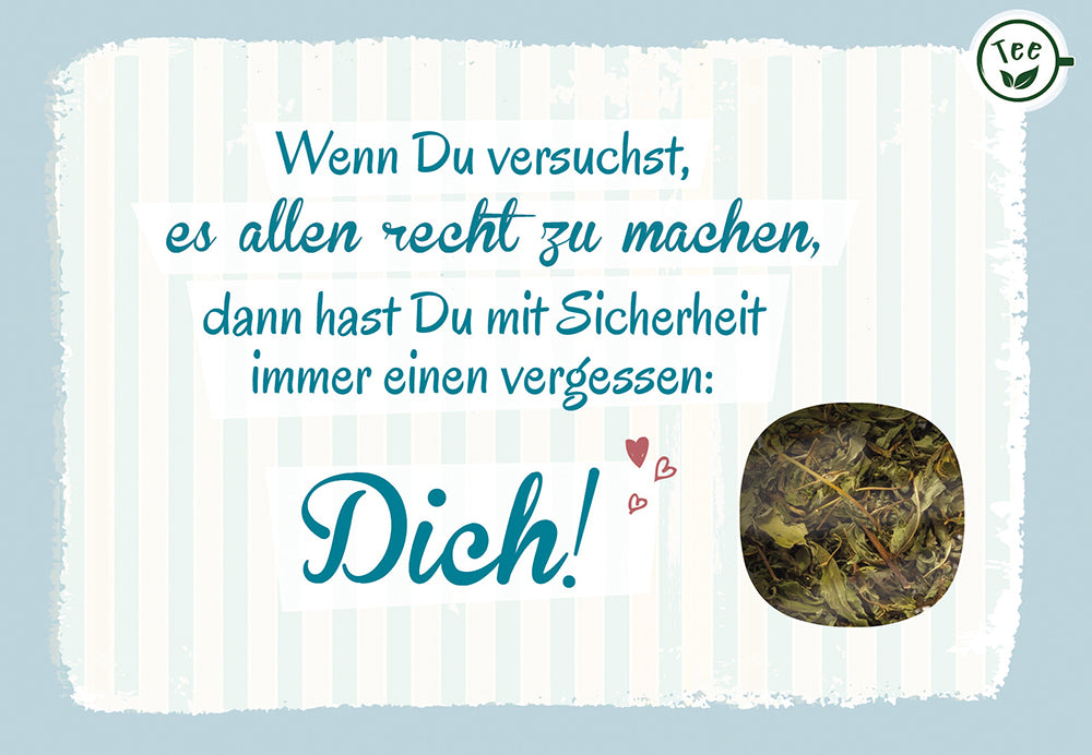 Frontcover zum Titel Wenn Du versuchst, es allen recht zu machen ...