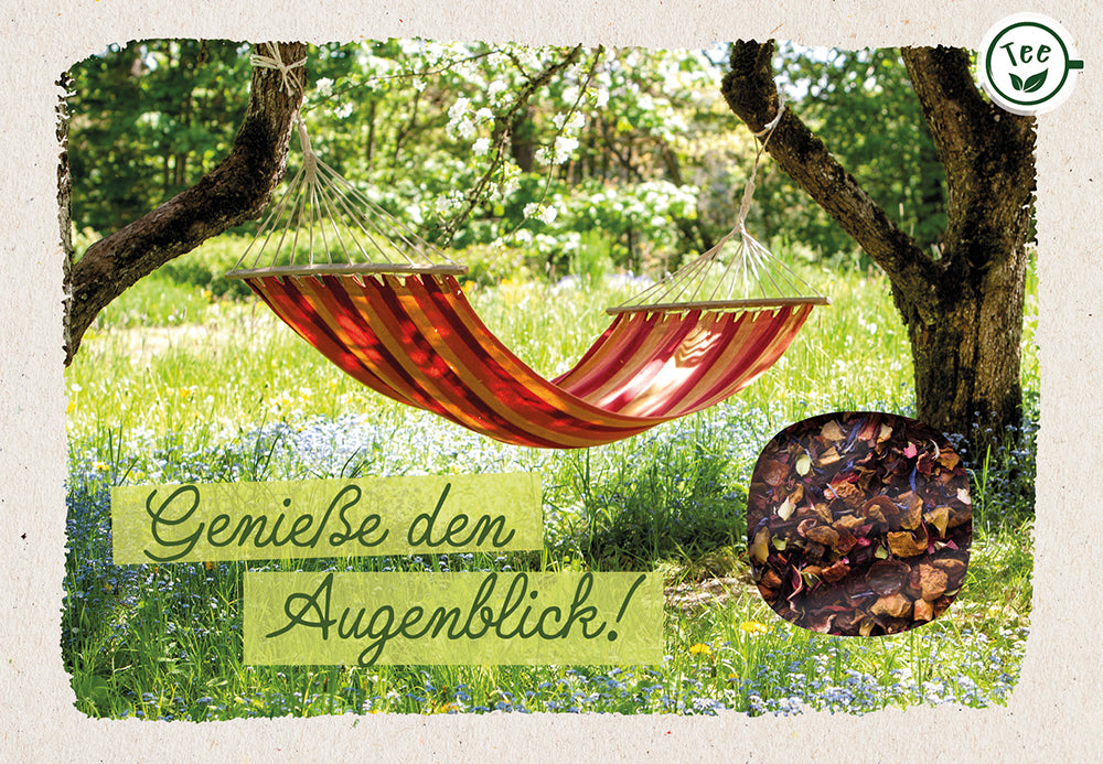 Frontcover zum Titel Genieße den Augenblick!