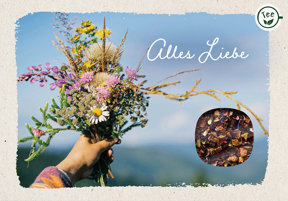 Frontcover zum Titel Alles Liebe