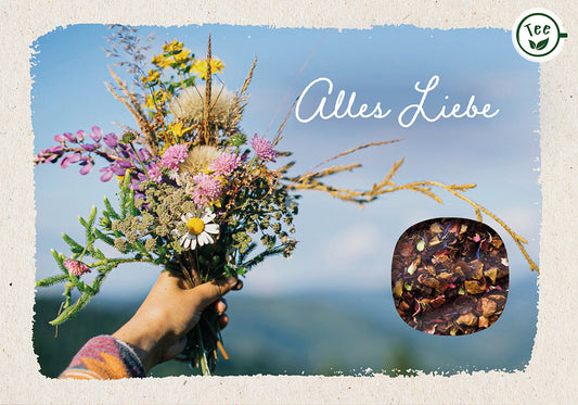 Frontcover zum Titel Alles Liebe