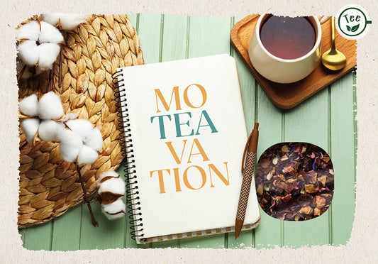Frontcover zum Titel MoTEAvation