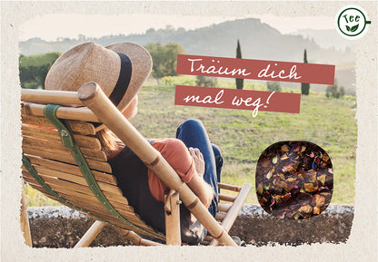 Frontcover zum Titel Träum dich mal weg!