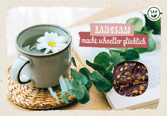Frontcover zum Titel Langsam macht schneller glücklich