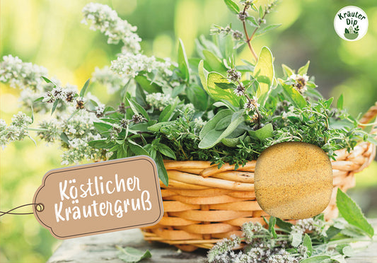 Frontcover zum Titel Köstlicher Kräutergruß