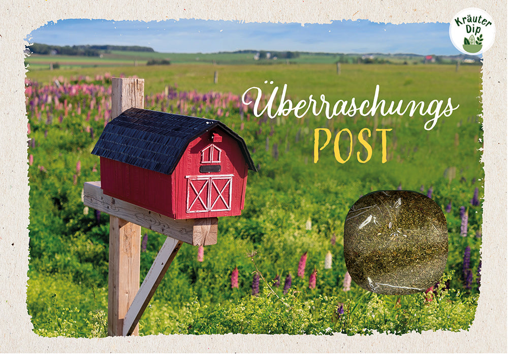 Frontcover zum Titel Überraschungspost