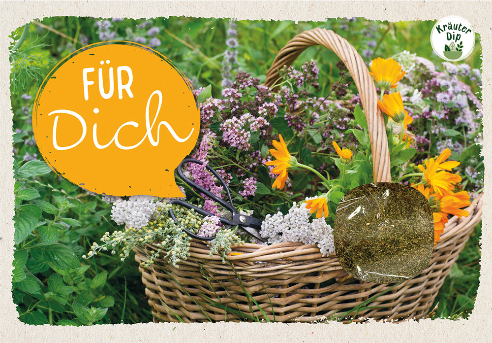 Frontcover zum Titel Für dich