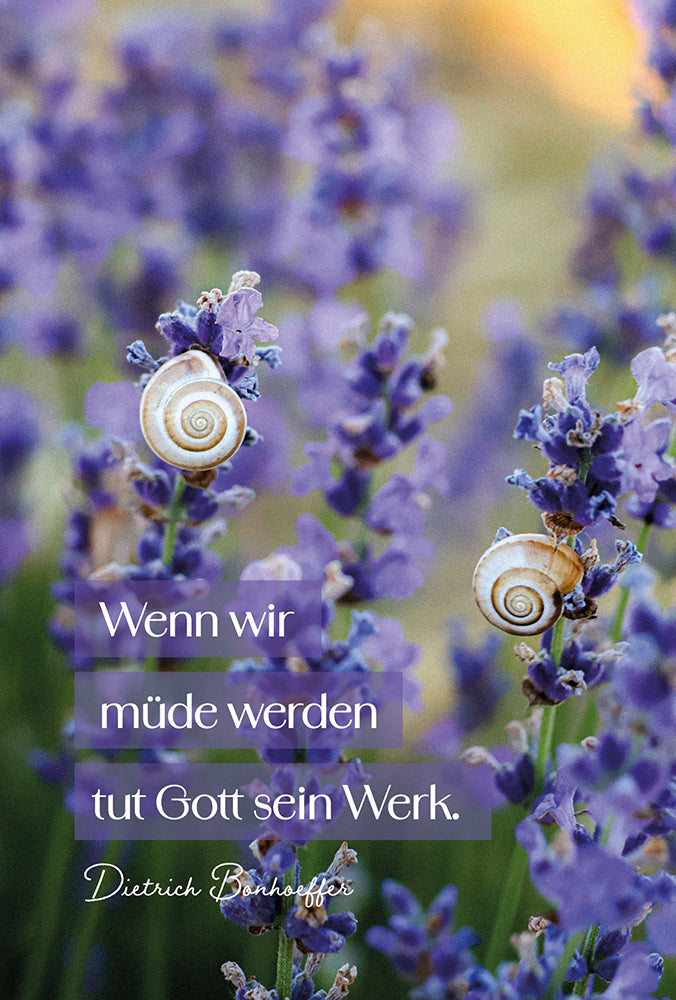  zum Titel Behütet und getröstet - Aufstellbuch