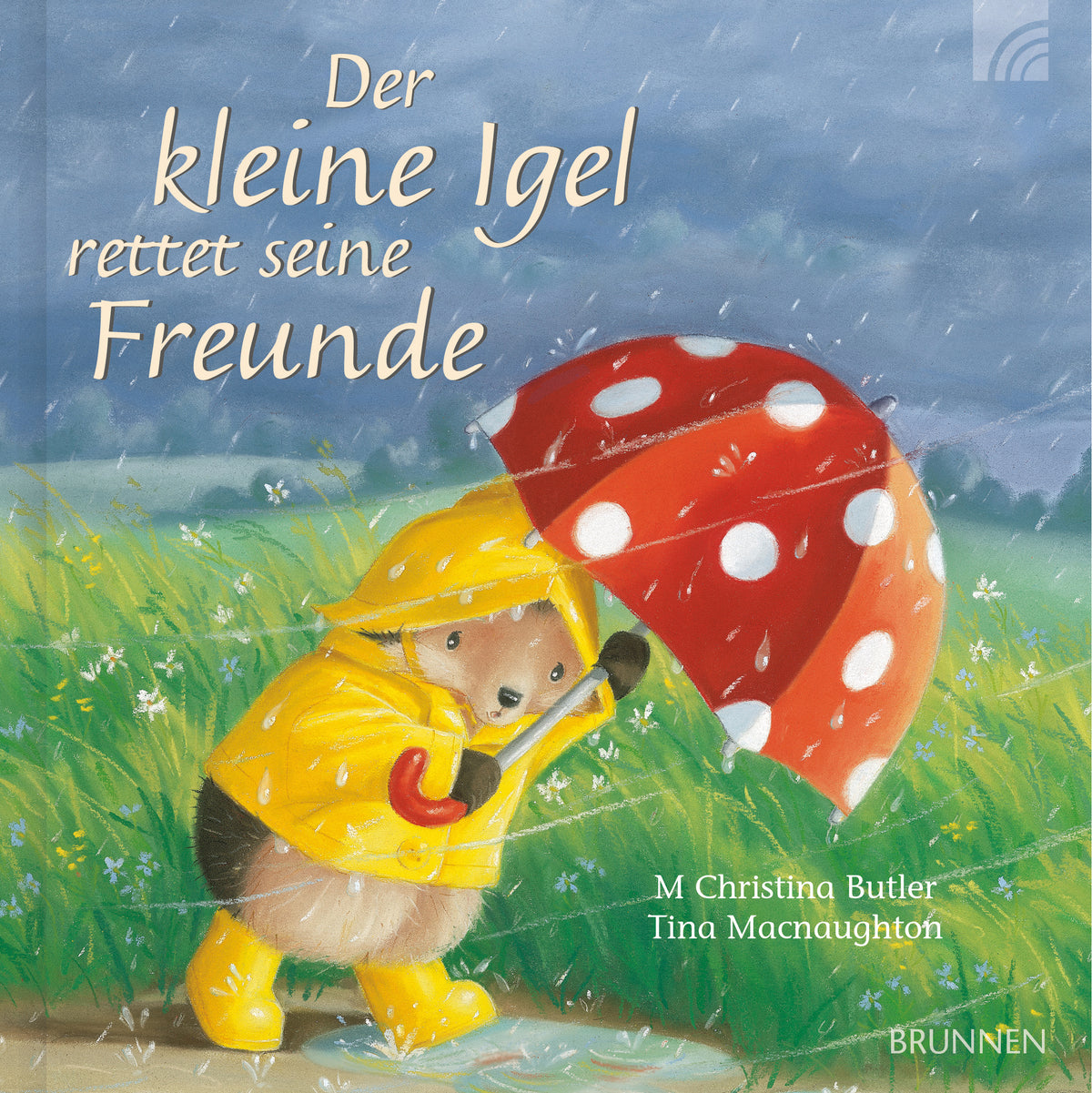  zum Titel Mit dem kleinen Igel und seinen Freunden durch die Jahreszeiten