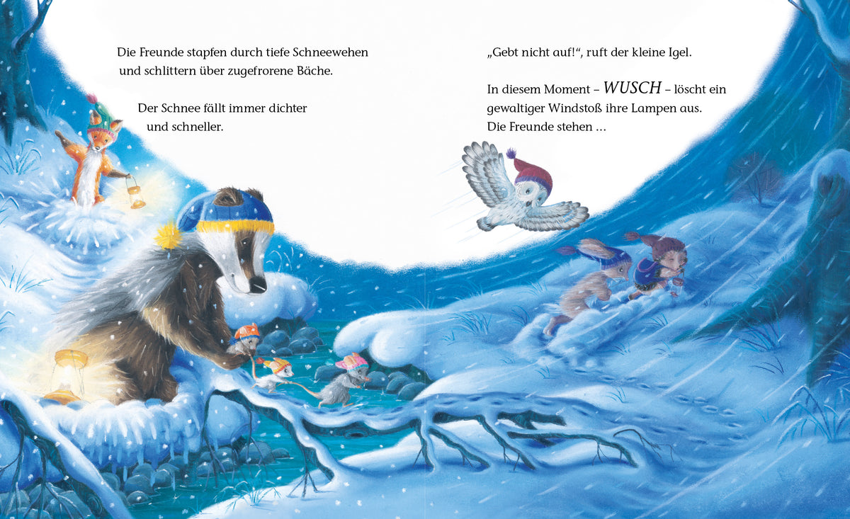  zum Titel Der kleine Igel und das besondere Weihnachtsgeschenk