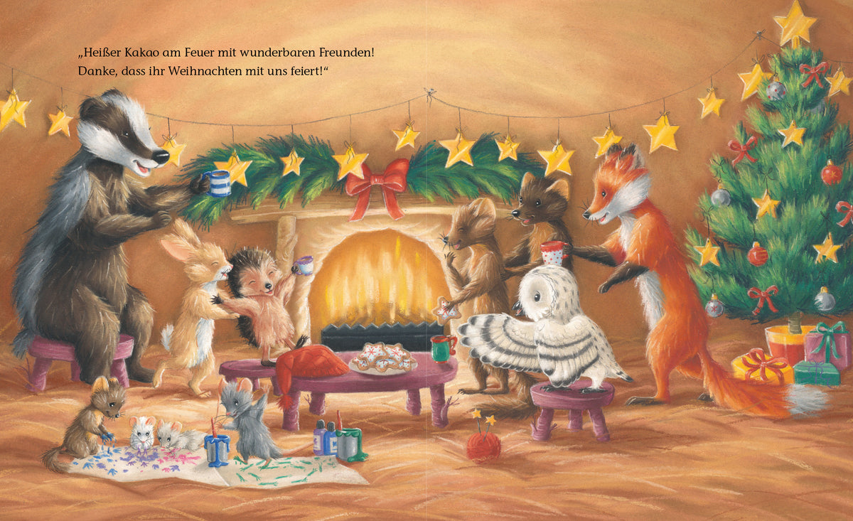  zum Titel Der kleine Igel und das besondere Weihnachtsgeschenk